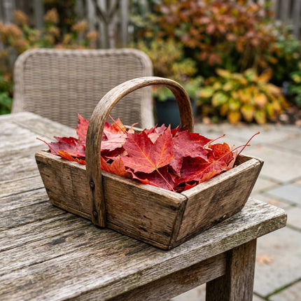 50 Red Maple Seeds for Planting - Heirloom Red Maple Flower Seeds for Home Garden