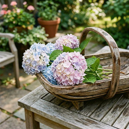 35 Hydrangea Seeds for Planting - Heirloom Hydrangea Flower Seeds for Home Garden