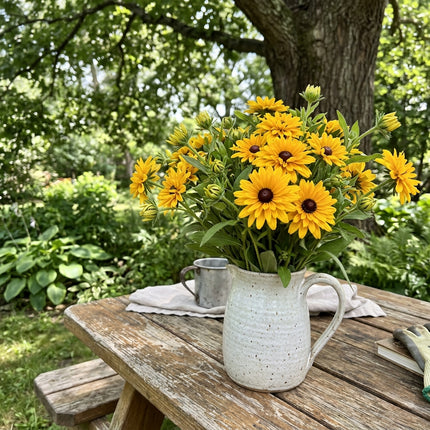 Fresh 300 Double Gold Black Eyed Susan Seeds for Home Gardening - Vibrant Floral Display, for Garden Borders, Outdoor Patio Decor