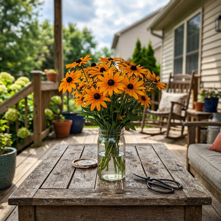 Fresh 300 Amber Black Eyed Susan Seeds for Home Gardening - Cut Flower Arrangements, Stunning Yard Decor, for Home Garden