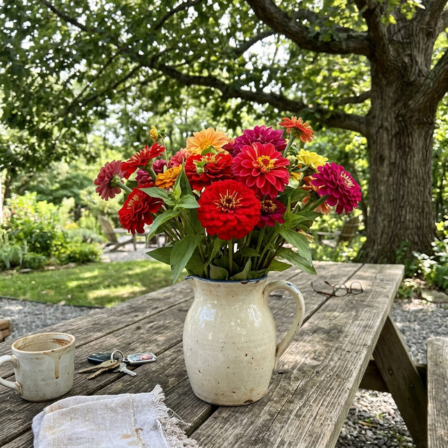 100 Count Dahlia Red Zinnia Seeds - Premium Heirloom Seeds, for Planting, Cut Flower Arrangements
