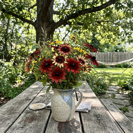 300 Count Mahogany Black Eyed Susan Seeds - Premium Heirloom Seeds, for Home Garden, Beautiful Perennial Flowers