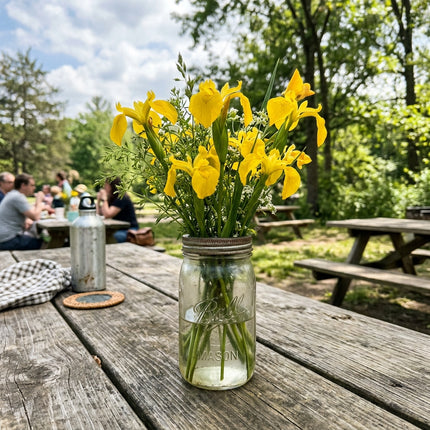 Fresh 50 Yellow Iris Seeds for Home Gardening - Fast Growing, for Garden Borders, Heirloom Floral Blooms