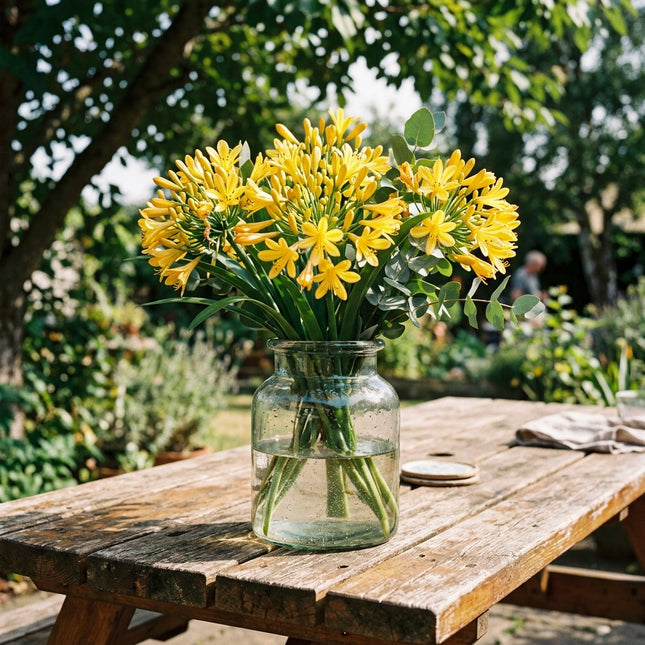 50 Gold African Lily Seeds Outdoor Patio Decor - Long Lasting Patio Blooms, Drought Tolerant