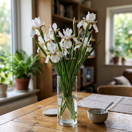 50 Siberian White Iris Seeds Heirloom Floral Blooms - Stunning Yard Decor, Cut Flower Arrangements