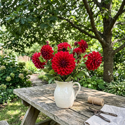 Fresh 50 Dinnerplate Red Dahlia Seeds for Home Gardening - Beautiful Perennial Flowers, Premium Heirloom Seeds, Outdoor Patio Decor