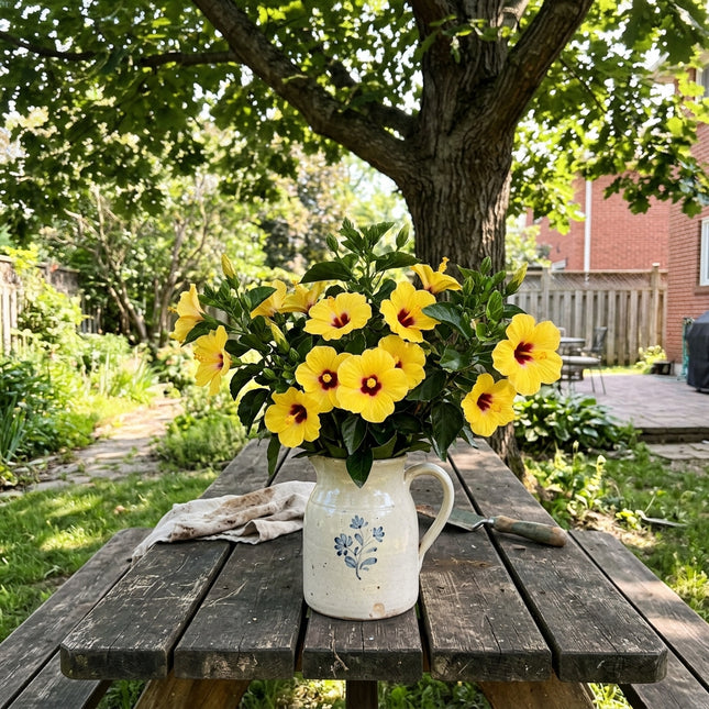 Magnificent 100 Hibiscus Flower Seeds, Dwarf Yellow - Beautiful Perennial Flowers, for Planting, Beginner Friendly Planting