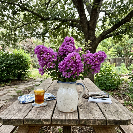 100 Count Giant Purple Crape Myrtle Seeds - Beginner Friendly Planting, Easy to Grow, Vibrant Floral Display