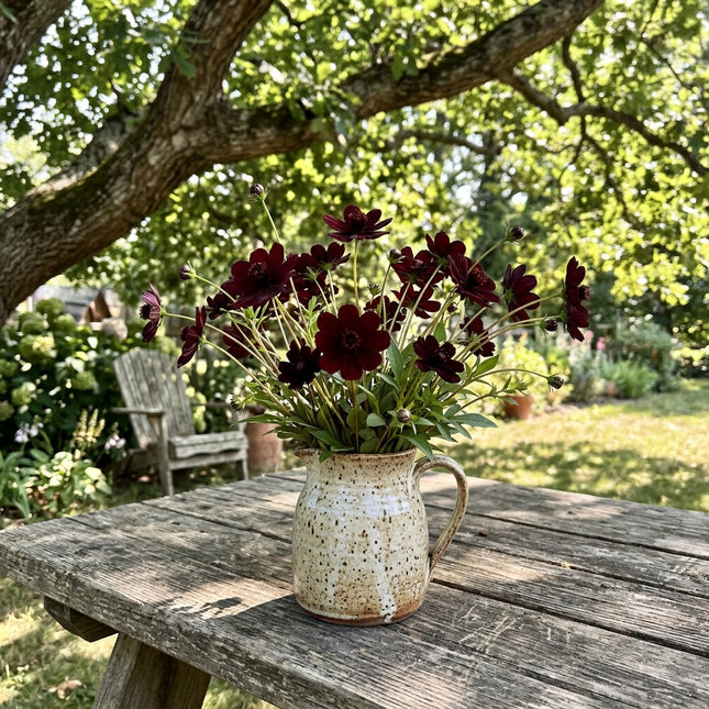100 Count Chocolate Cosmos Seeds - Premium Heirloom Seeds, Nature Inspired Landscape, Vibrant Floral Display