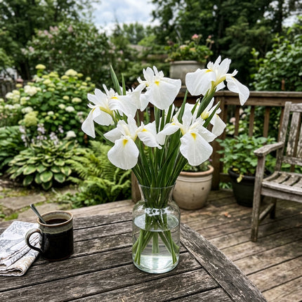 Fresh 50 Japanese White Iris Seeds for Home Gardening - Beautiful Perennial Flowers, Stunning Yard Decor, for Planting