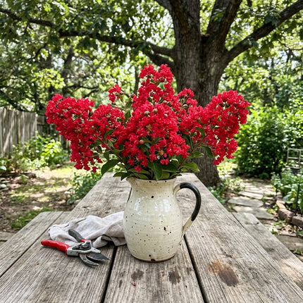 Fresh 100 Red Crape Myrtle Seeds for Home Gardening - Fast Growing, Stunning Yard Decor, for Home Garden