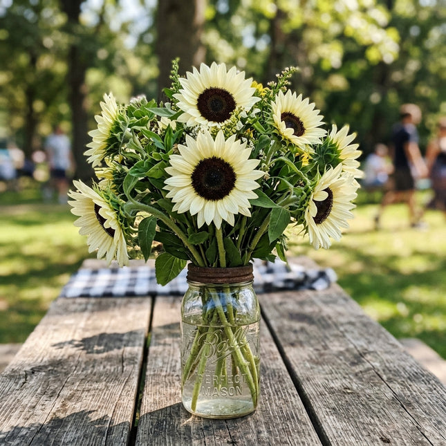 100 White Nite Sunflower Seeds Outdoor Patio Decor - Beginner Friendly Planting, Cut Flower Arrangements