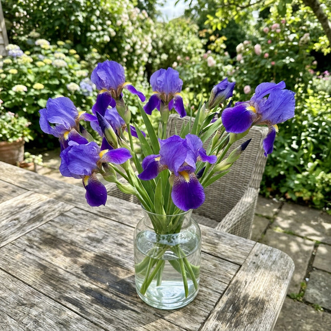 Spectacular 50 Iris Flower Seeds, Bearded Blue - Drought Tolerant, Nature Inspired Landscape, Beginner Friendly Planting