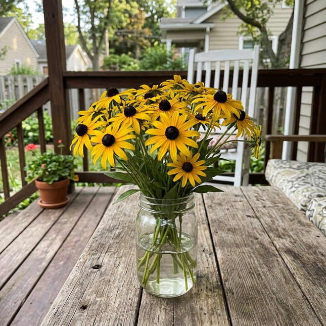 300 Count Lemon Yellow Black Eyed Susan Seeds - for Garden Borders, Nature Inspired Landscape, Fast Growing