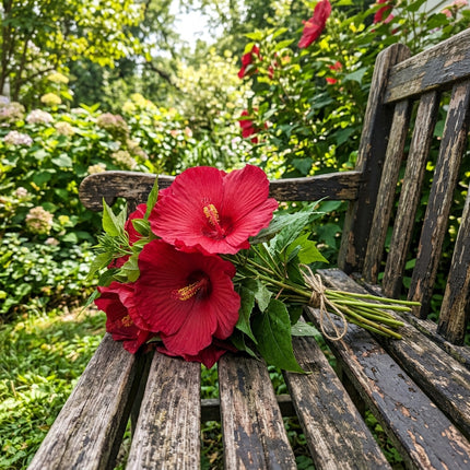 100 Count Giant Red Hibiscus Seeds - Long Lasting Patio Blooms, Heirloom Floral Blooms, Vibrant Floral Display