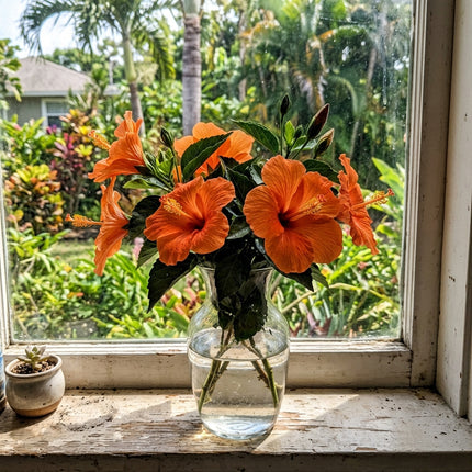 100 Count Tropical Orange Hibiscus Seeds - Premium Heirloom Seeds, Outdoor Patio Decor, Drought Tolerant