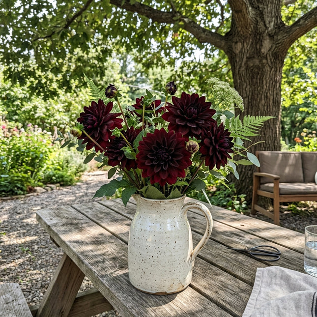 50 Black Dahlia Seeds Heirloom Floral Blooms - for Garden Borders, Fast Growing