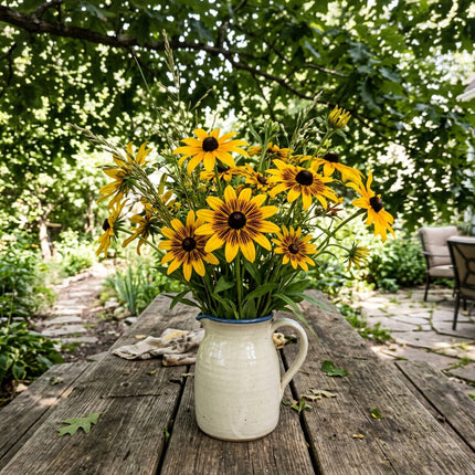300 Count Striped Gold Black Eyed Susan Seeds - Premium Heirloom Seeds, Heirloom Floral Blooms, Drought Tolerant