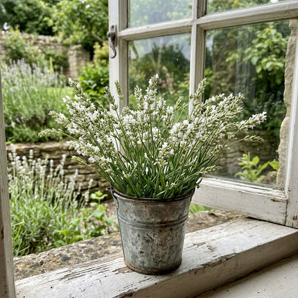 Elegant 1200 Lavender Flower Seeds, White - Cut Flower Arrangements, Outdoor Patio Decor, for Garden Borders