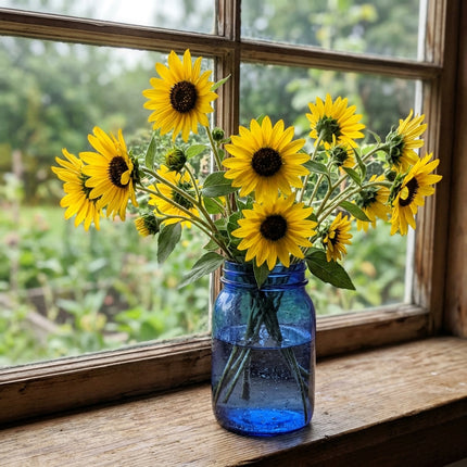 Fresh 100 Branching Yellow Sunflower Seeds for Home Gardening - Vibrant Floral Display, Stunning Yard Decor, Nature Inspired Landscape