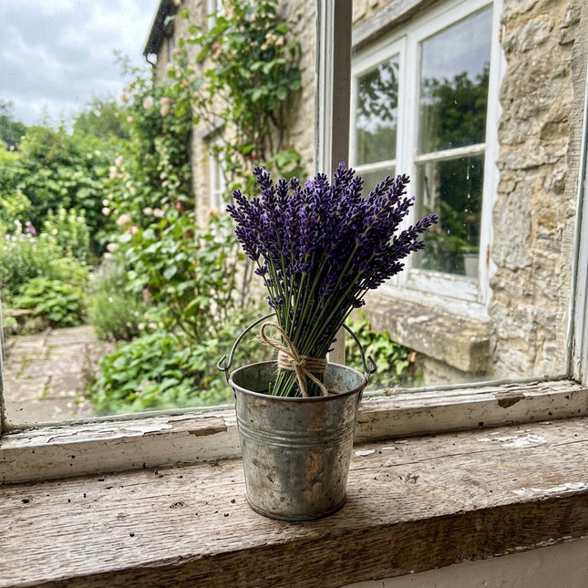 1200 English Purple Lavender Seeds for Home Garden - Stunning Yard Decor, Cut Flower Arrangements