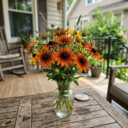 Striking 300 Black Eyed Susan Flower Seeds, Copper - Cut Flower Arrangements, Nature Inspired Landscape, Stunning Yard Decor