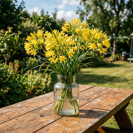 Fresh 50 Yellow African Lily Seeds for Home Gardening - Cut Flower Arrangements, for Garden Borders, Easy to Grow