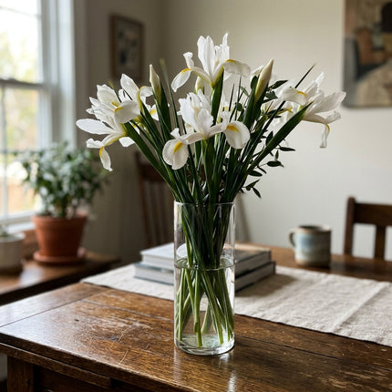 50 Count White Iris Seeds - Beginner Friendly Planting, Heirloom Floral Blooms, Vibrant Floral Display