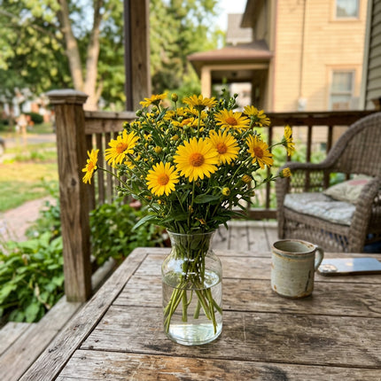 50 Count Yellow Aster Seeds - Long Lasting Patio Blooms, Heirloom Floral Blooms, Vibrant Floral Display