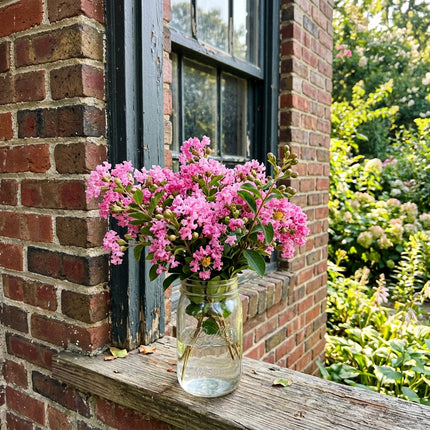 100 Count Dwarf Pink Crape Myrtle Seeds - for Garden Borders, for Home Garden, Vibrant Floral Display