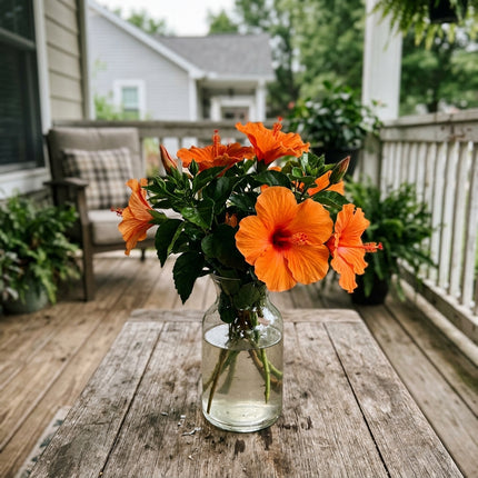 100 Count Tropical Orange Hibiscus Seeds - Premium Heirloom Seeds, Outdoor Patio Decor, Drought Tolerant