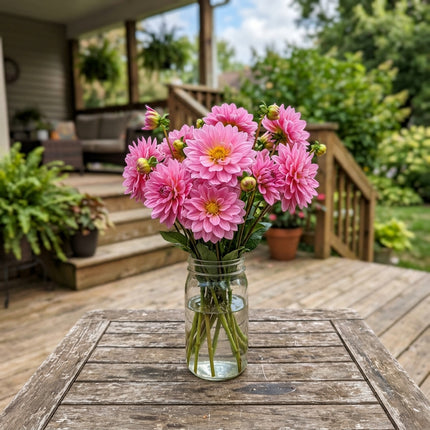 50 Count Waterlily Pink Dahlia Seeds - Stunning Yard Decor, Nature Inspired Landscape, Drought Tolerant