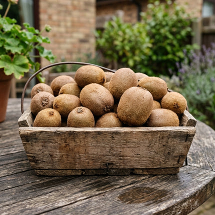 50 Hardy Green Kiwi Vine Seeds for Planting - Heirloom Seed Blend for Home Garden