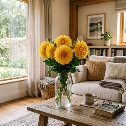 100 Golden Yellow Dahlia Seeds for Planting - Bright Sunny Blooms