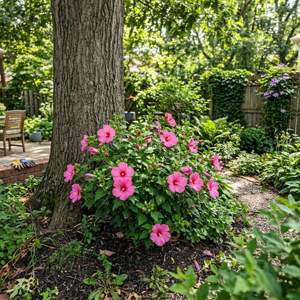 100 Count Pink Hibiscus Seeds - Long Lasting Patio Blooms, Nature Inspired Landscape, Cut Flower Arrangements