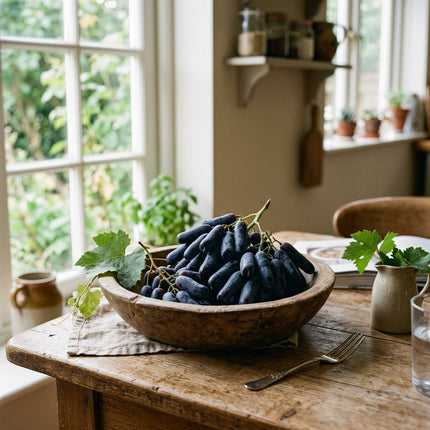 50 Sweet Sapphire Dark Blue Grape Seeds for Planting - Premium Sweet Sapphire Dark Blue Grape Seeds for Home Garden