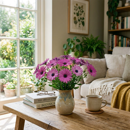50 Deep Purple South African Marigold Seeds for Planting - Vibrant Osteospermum - Beautiful Daisy-like Cut Flowers