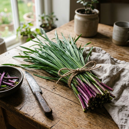500 Purple Stem Garlic Chives Seeds for Planting - Premium Heirloom Purple Stem Garlic Chives Seeds for Home Garden
