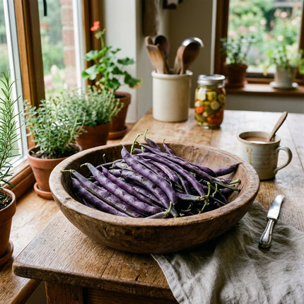 30 Purple Podded Beans Seeds for Planting - Premium Heirloom Purple Podded Beans Seeds for Home Garden
