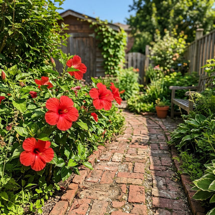 100 Count Giant Red Hibiscus Seeds - Long Lasting Patio Blooms, Heirloom Floral Blooms, Vibrant Floral Display