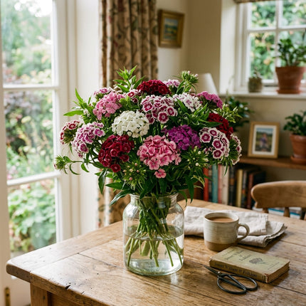 Spectacular 500 Sweet William Flower Seeds, Mixed - Drought Tolerant, Nature Inspired Landscape, Beginner Friendly Planting