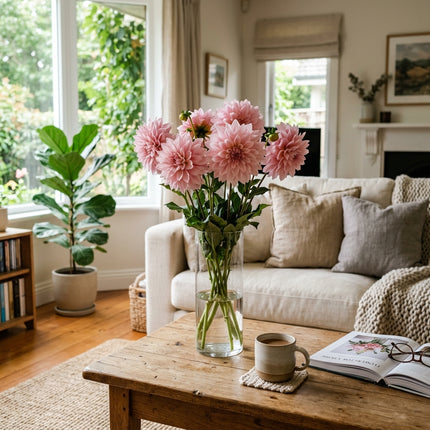 50 Pink Dahlia Seeds for Planting - Elegant Pastel Blooms