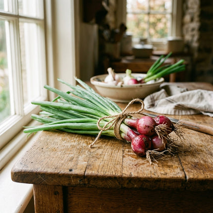 1000 Red Bulb Onions Seeds for Planting - Premium Heirloom Red Bulb Onions Seeds for Home Garden