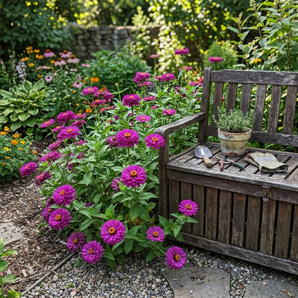 100 Purple Zinnia Seeds Outdoor Patio Decor - Beginner Friendly Planting, Fast Growing
