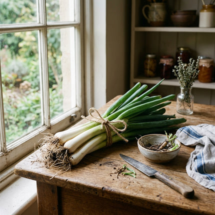 500 Japanese Bunching Onions Seeds for Planting - Premium Heirloom Japanese Bunching Onions Seeds for Home Garden