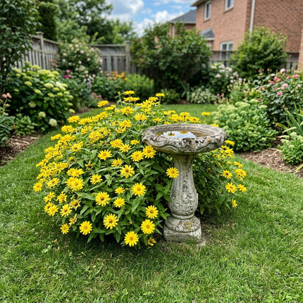 100 Cactus Yellow Zinnia Seeds Easy to Grow - Premium Heirloom Seeds, Cut Flower Arrangements