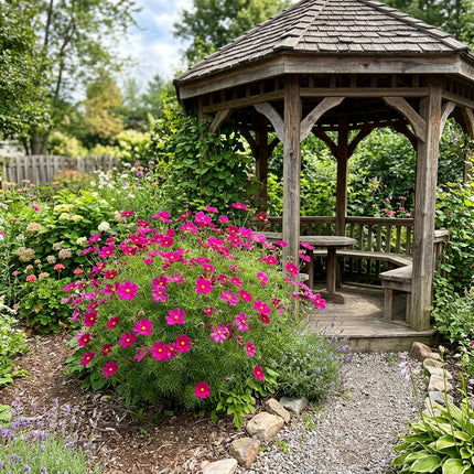 100 Magenta Cosmos Seeds Nature Inspired Landscape - Stunning Yard Decor, Cut Flower Arrangements