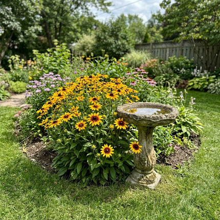 Gorgeous 300 Black Eyed Susan Flower Seeds, Tiger Eye - Vibrant Floral Display, Nature Inspired Landscape, Beginner Friendly Planting