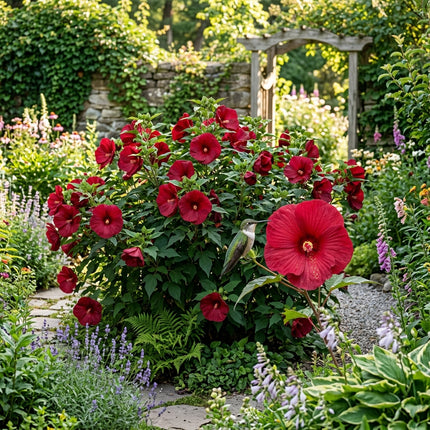 100 Deep Red Giant Hibiscus Seeds - Beautiful Garden Plants - Easy to Grow