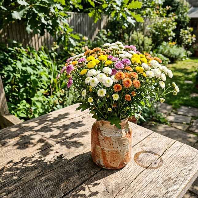 50 Premium Button Chrysanthemum Seeds - Beautiful Garden Flowers for Planting